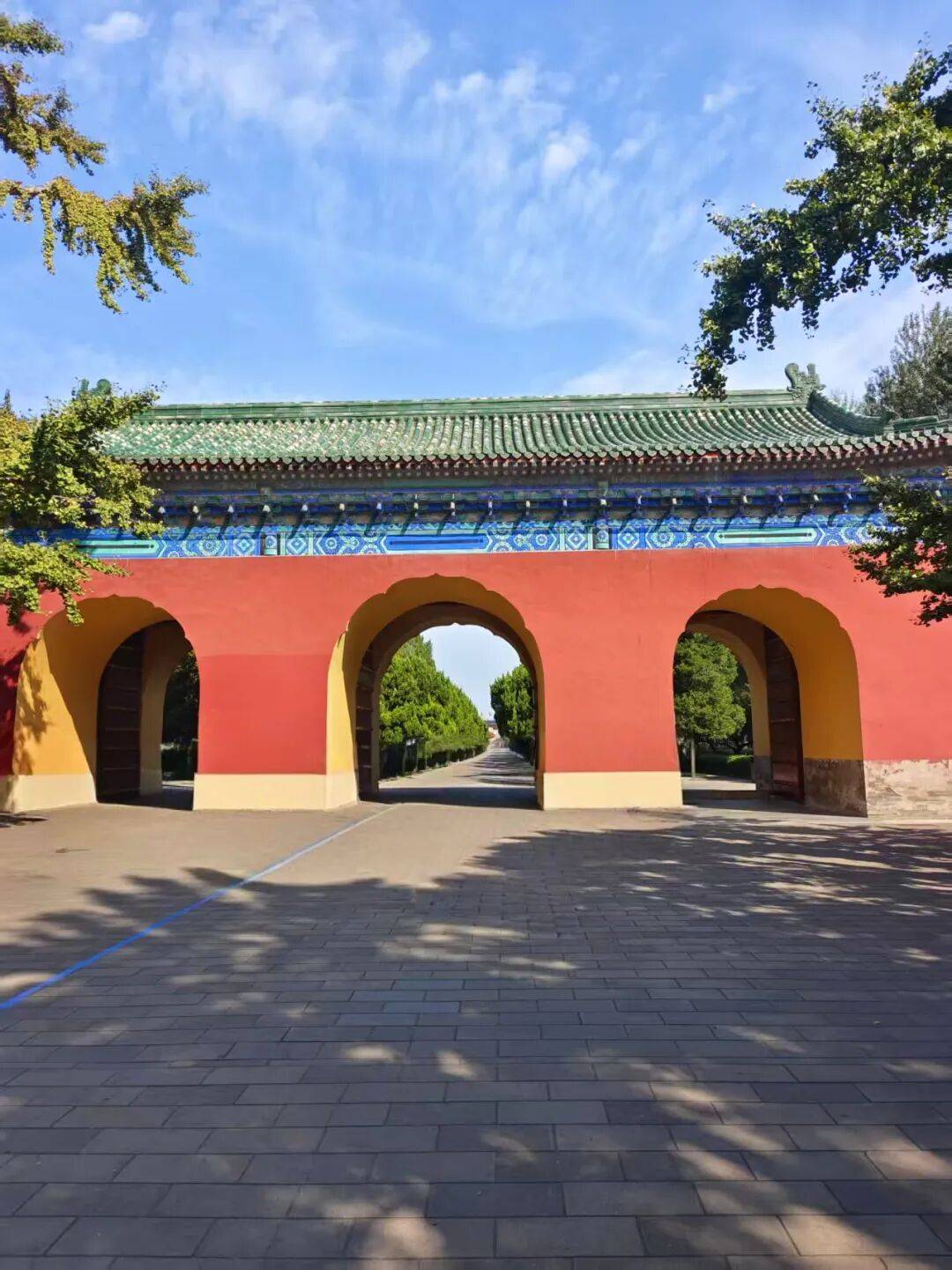 途旅游登顶亲子文化高端游标杆引领行业新葡京2025北京旅行社实力榜单：好(图2)