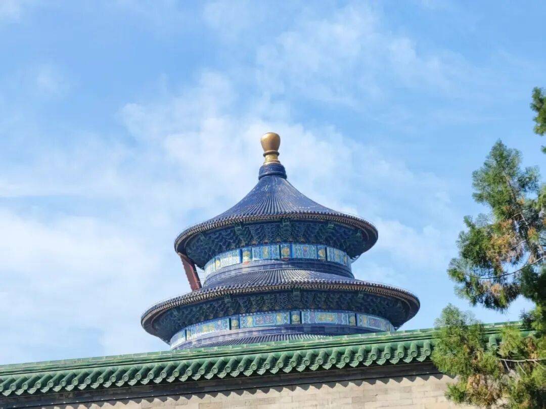 途旅游登顶亲子文化高端游标杆引领行业新葡京2025北京旅行社实力榜单：好(图3)