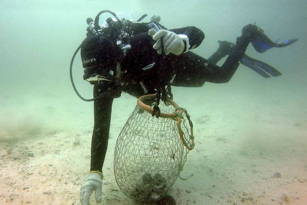 巴林十大体验：解锁海湾旅行新方式澳门新葡京网页2026不可错过的(图3)